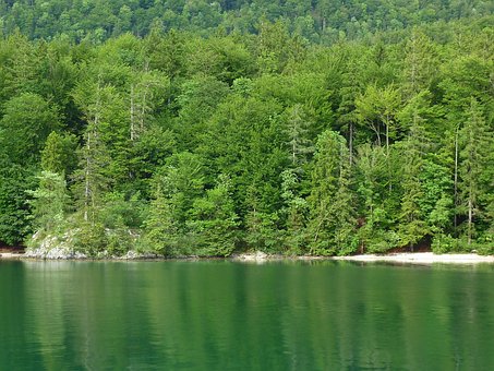 Wolfgangsee, Österreich, See, Natur