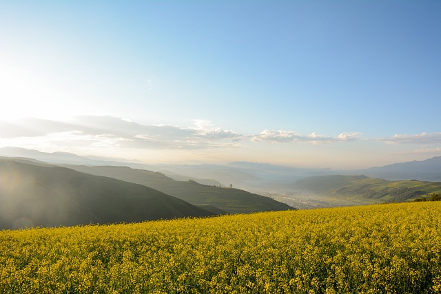 Qinghai, Paisaje, Montaña De Nieve