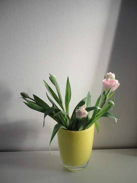 Free Flowers Indoors photo and picture