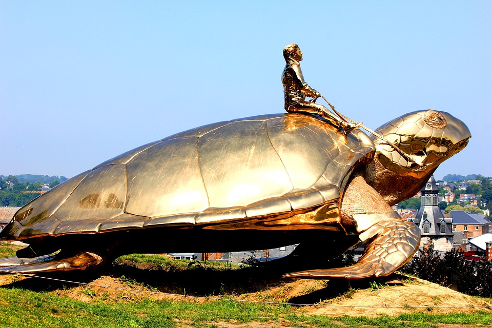 Tortuga dorada en la Ciudadela de Namur