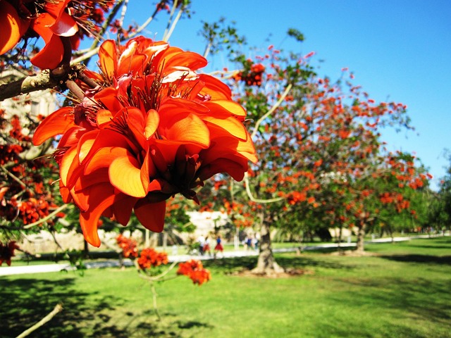 Free Gardens Turia photo and picture