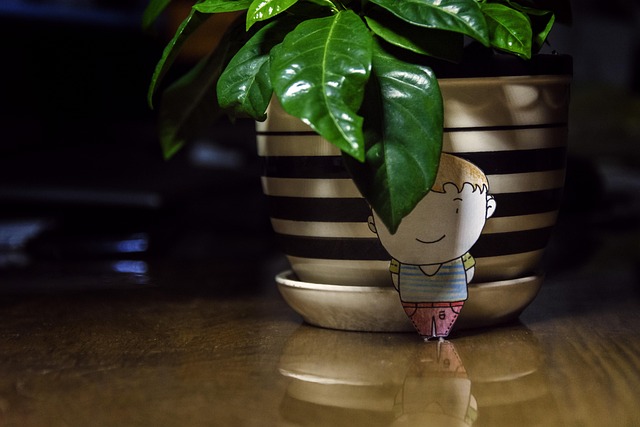 Free Jasmine Potted Plants photo and picture