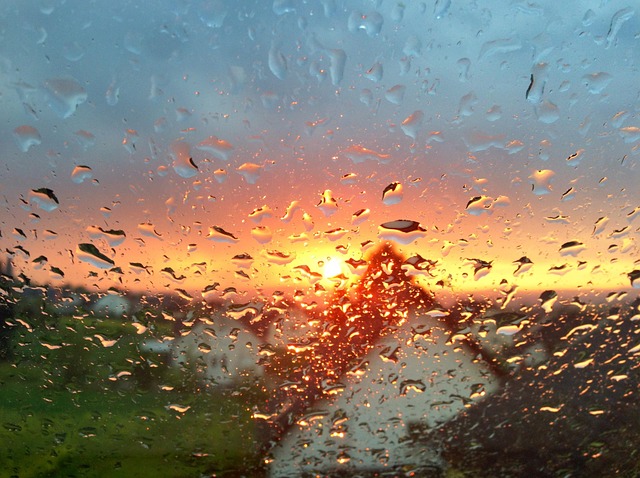 Free Raindrops Window photo and picture