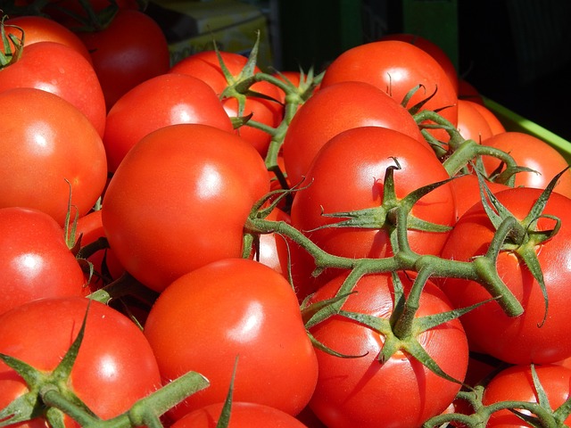 Free Tomatoes Vegetables photo and picture