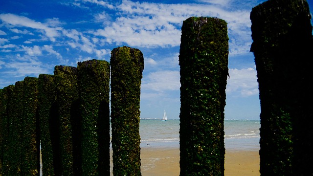 Free Beach Sailboat photo and picture