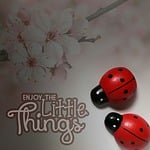enjoy the little things, live, courage