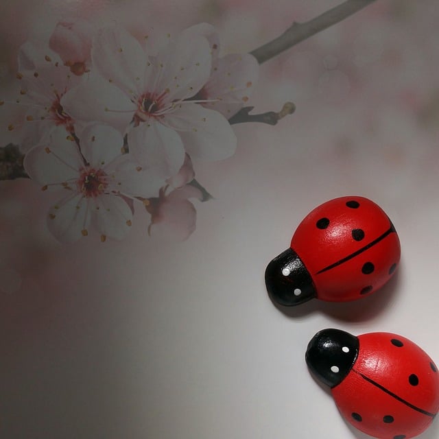 Free lucky charm ladybug happiness illustration