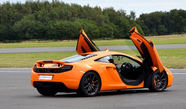 Free Sports Gull Wing photo and picture