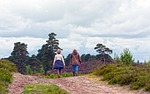 walkers, walking, walk