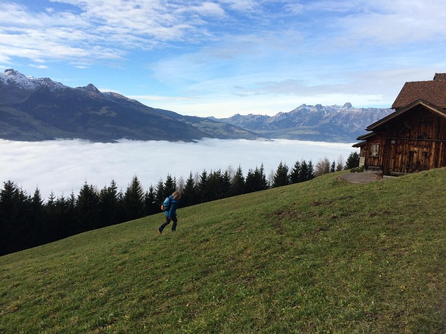 Hochnebel, Herbst, Natur, Landschaft