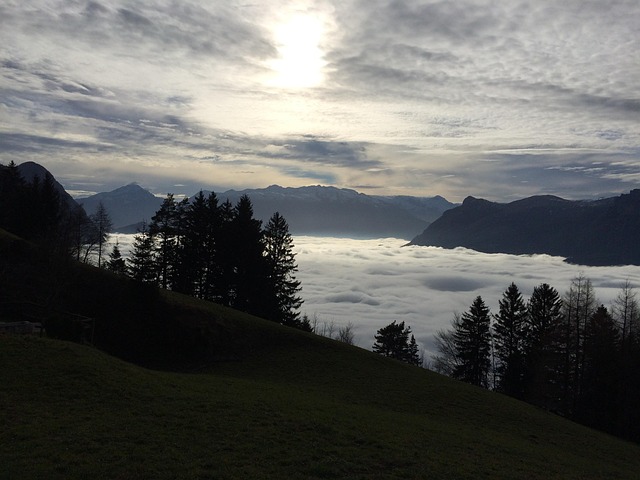 Hochnebel, Abendstimmung, Herbst, Natur