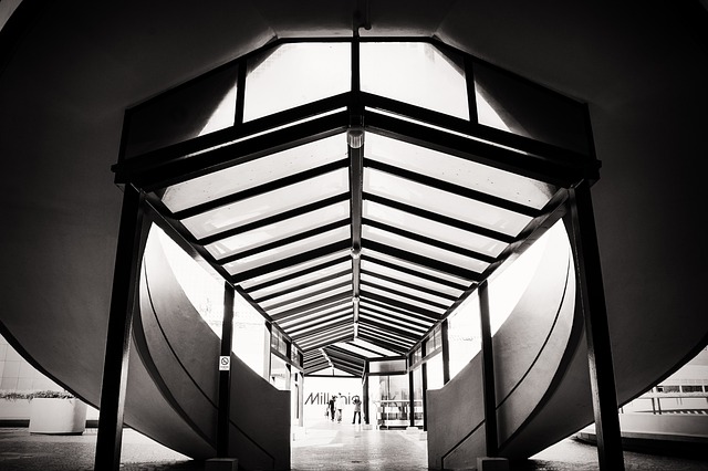 Free Architecture Skyscraper photo and picture