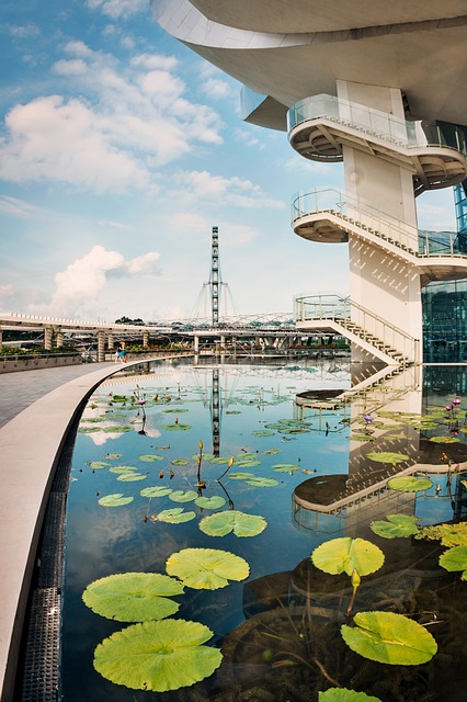 Free Architecture Skyscraper photo and picture
