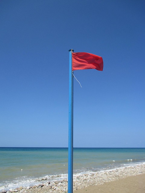 Rote Flagge, Meer, Strand, Ozean