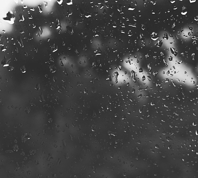 Free Rain Nature photo and picture