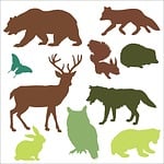 woodland animals, animals, bear