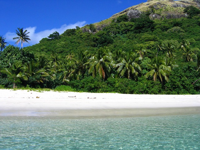 Free Fiji Beach photo and picture