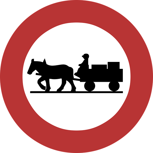Free restriction carriages prohibition vector