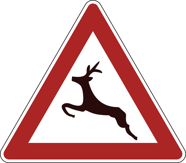 Free deer crossing danger warning vector