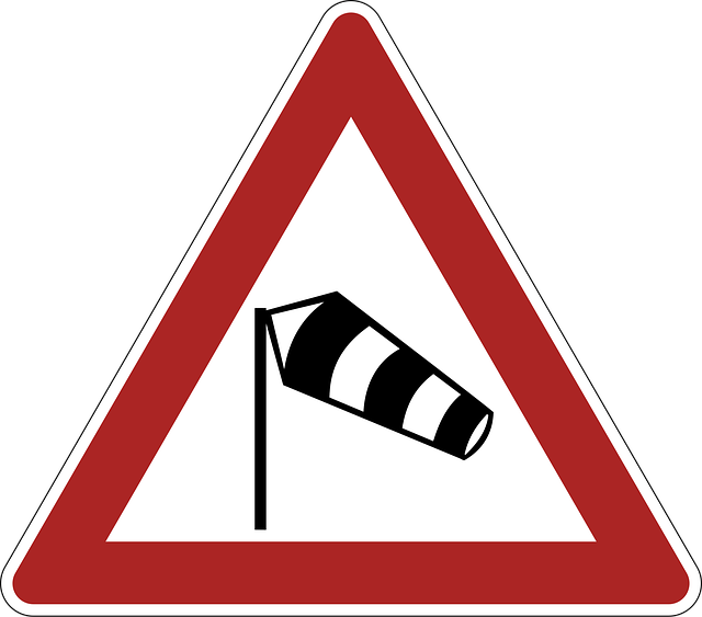 Free sidewind danger warning vector