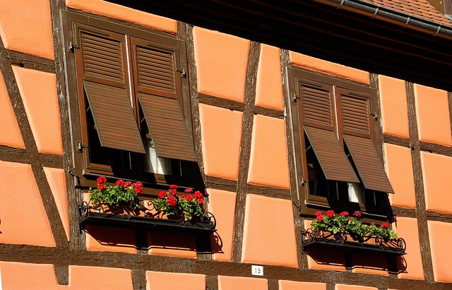 Free Alsace Obernai photo and picture