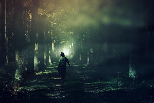 Free Forest Child photo and picture
