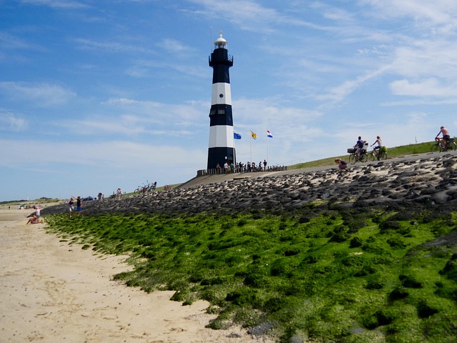 Free Lighthouse Summer Holidays photo and picture