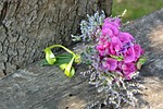 sweet pea scented, bouquet, lathyrus odoratus