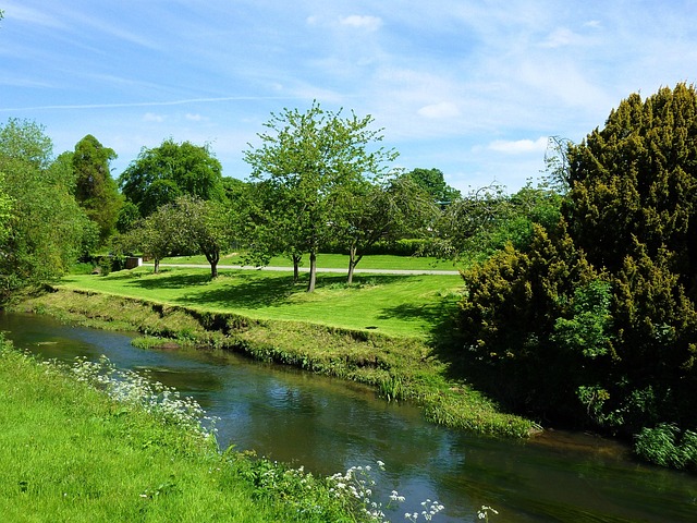 Free River Green photo and picture
