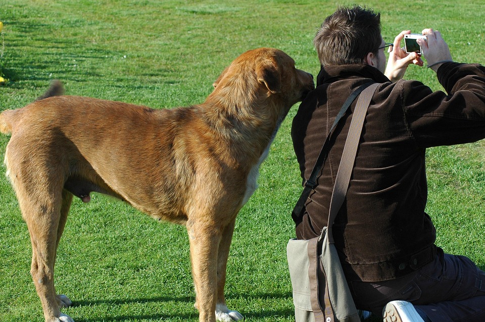 Ein Hund zieht an seiner Leine.