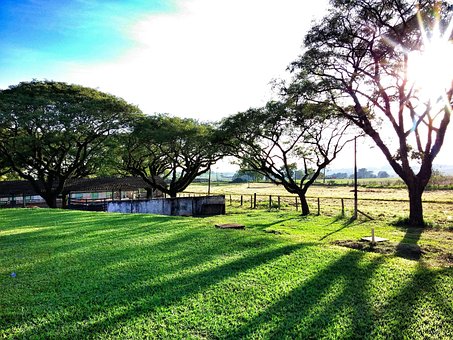 Dawn, Nature, Landscape, Day, Morning by gabrielmontanha Dawn, Nature, Landscape, Day, Morning