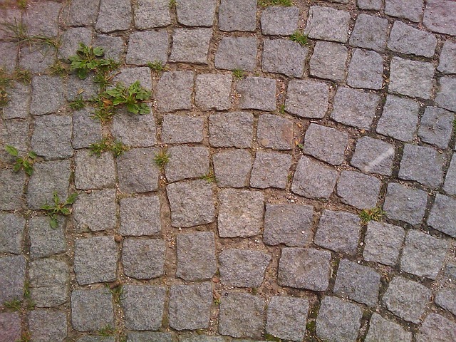 Free Cobblestones Path photo and picture