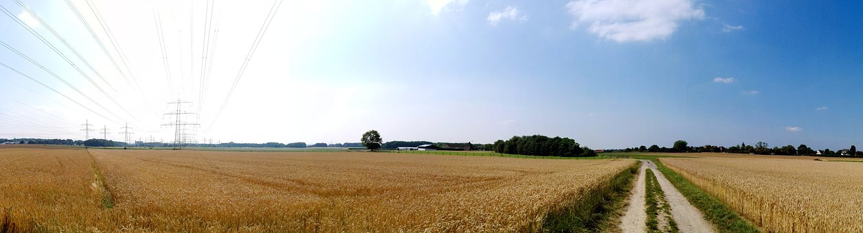 Landschaft, Feld, Getreide, Weitblick