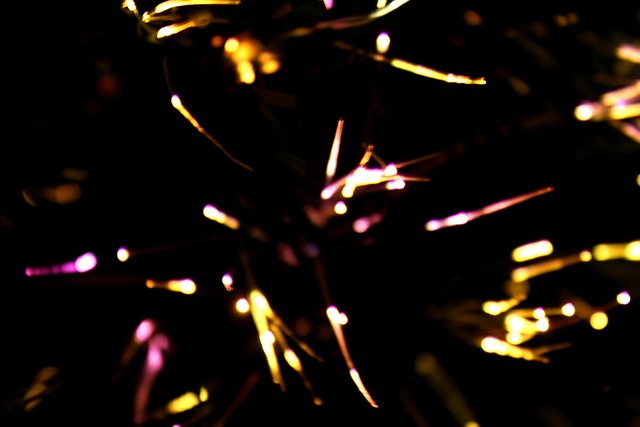 Free Christmas Lights photo and picture