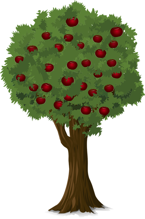 tree-apple-free-vector-graphic-on-pixabay