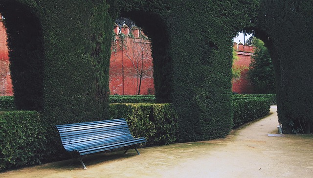 Free Courtyard Bench photo and picture