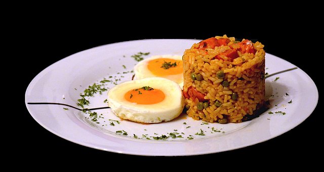 Free Meal Rice photo and picture