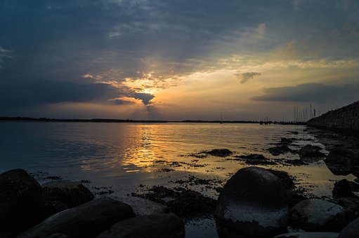 Free Mucous Mouth Nature photo and picture