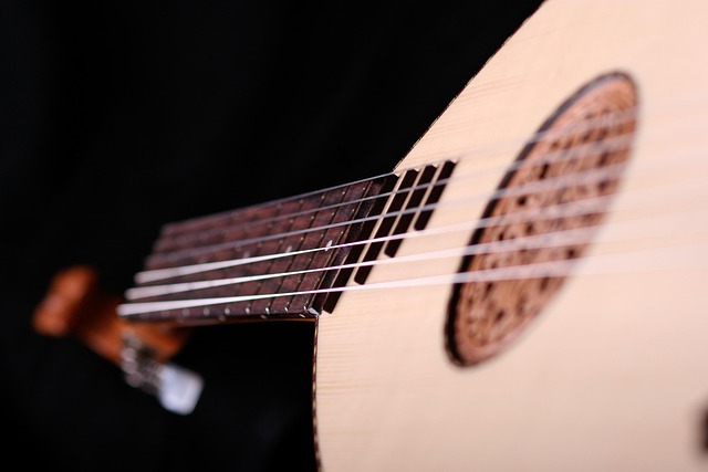 Luit, Gitaar, Instrument