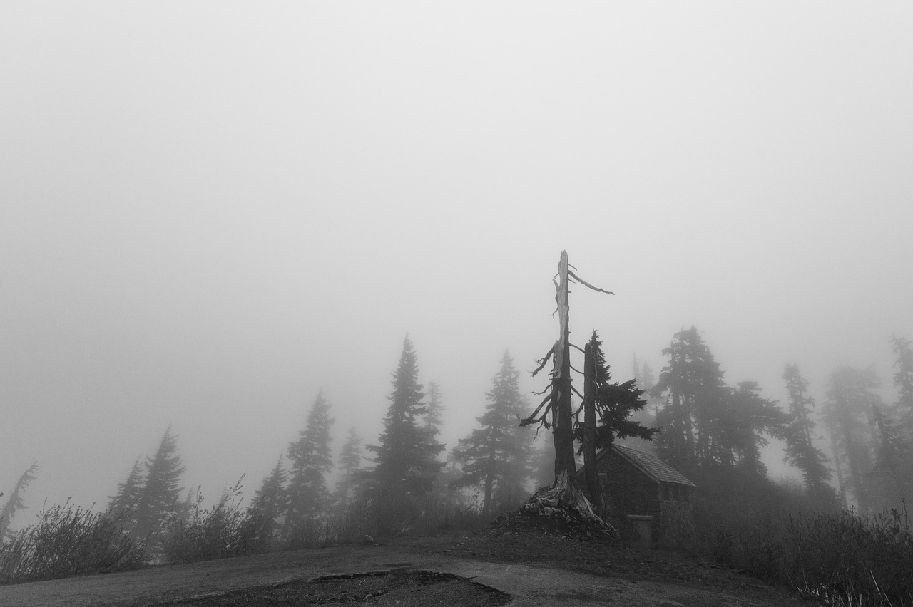 Grey - free online jigsaw puzzle photo