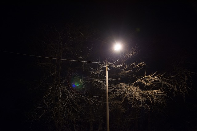 Free Tree Post photo and picture
