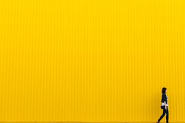 Yellow, Wall, Girl, Woman, People