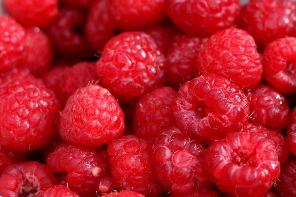 Red Raspberries Fruits · Free photo on Pixabay