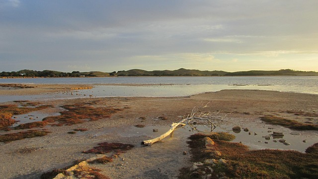 Free Rotnest Island Island photo and picture