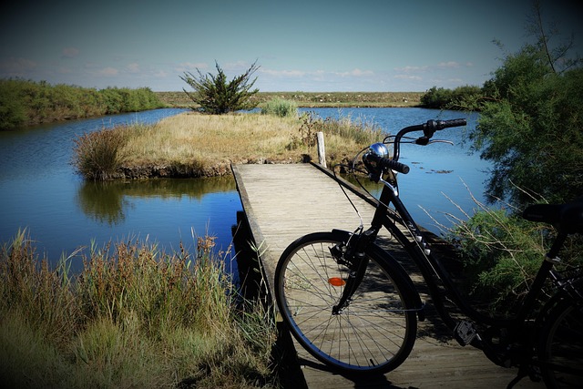 Mose, Natur, Dam, Vand, Landskab, Sø