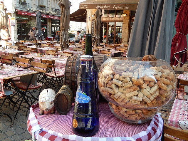 Free Lyon France photo and picture