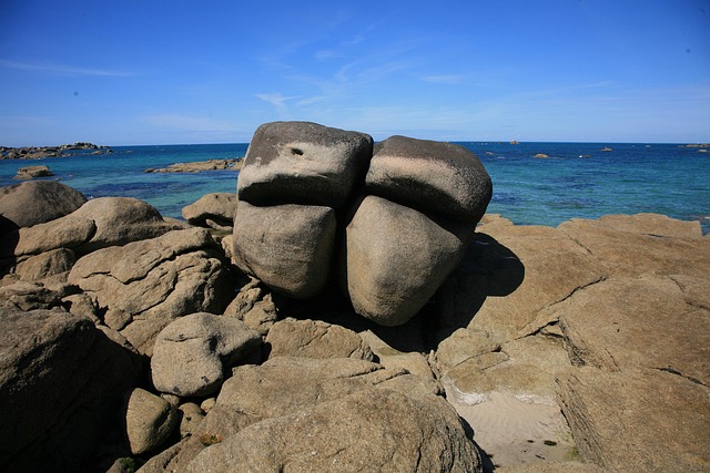 Free Fishes Coast photo and picture