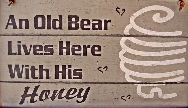 Free Old Bear Sign photo and picture