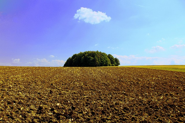 Felter, Landbrug, Mark, Natur, Landskab