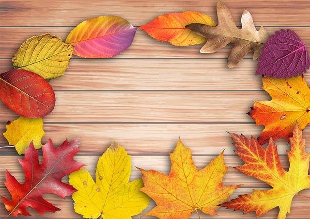 Free fall banner poster illustration